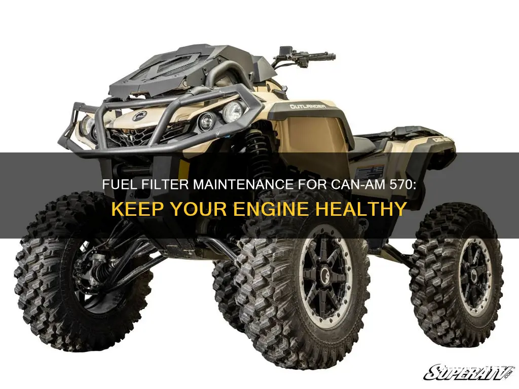 can am 570 fuel filter