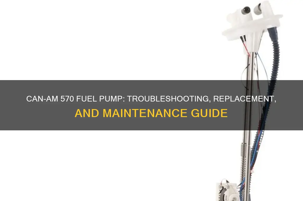 can am 570 fuel pump