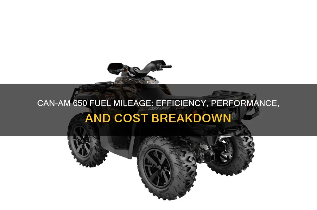 can am 650 fuel mileage