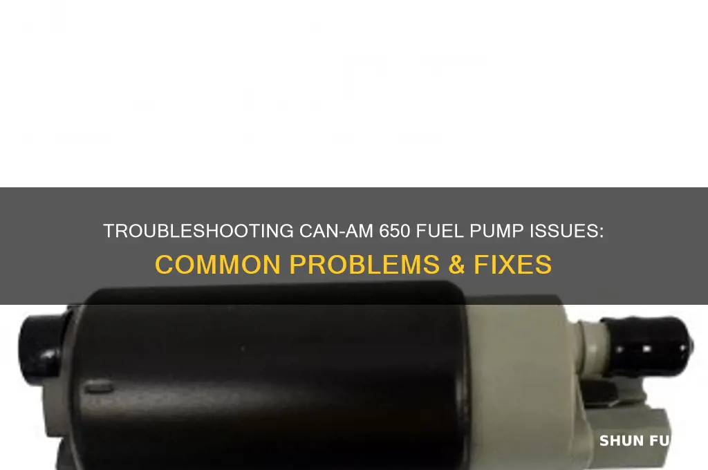 can am 650 fuel pump problems
