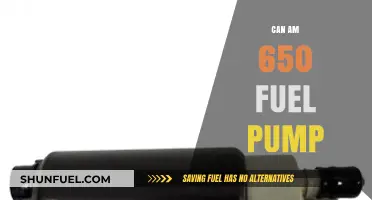 Can-Am 650 Fuel Pump: Troubleshooting, Replacement, and Maintenance Guide
