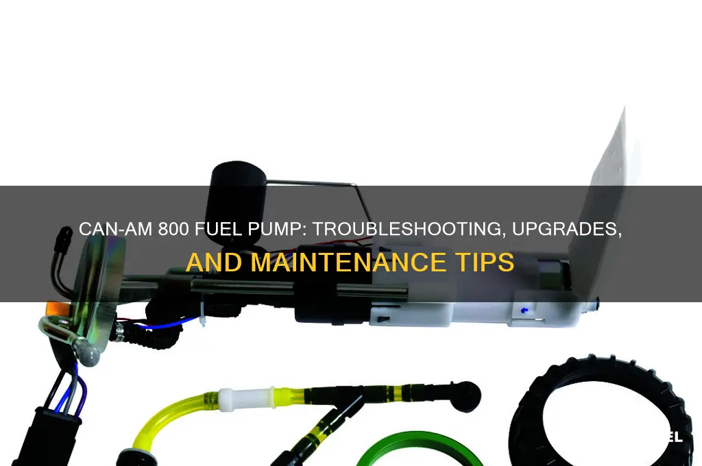 can am 800 fuel fuel pump