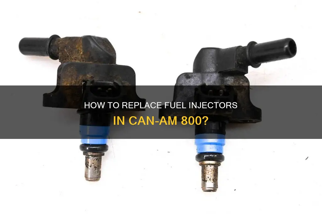 can am 800 fuel injectors replacement