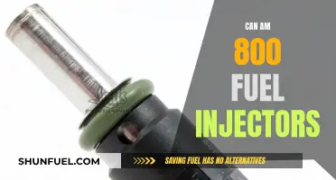 Fuel Injectors for Can-Am 800: Performance and Efficiency