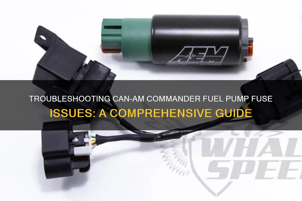 can am commander fuel pump fuse