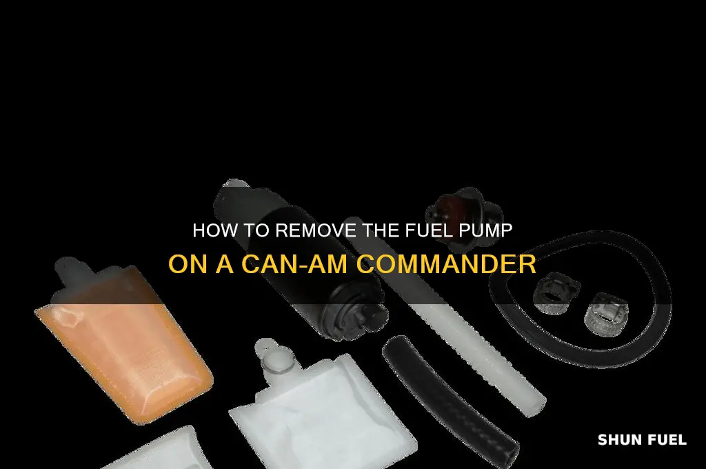 can am commander fuel pump removal