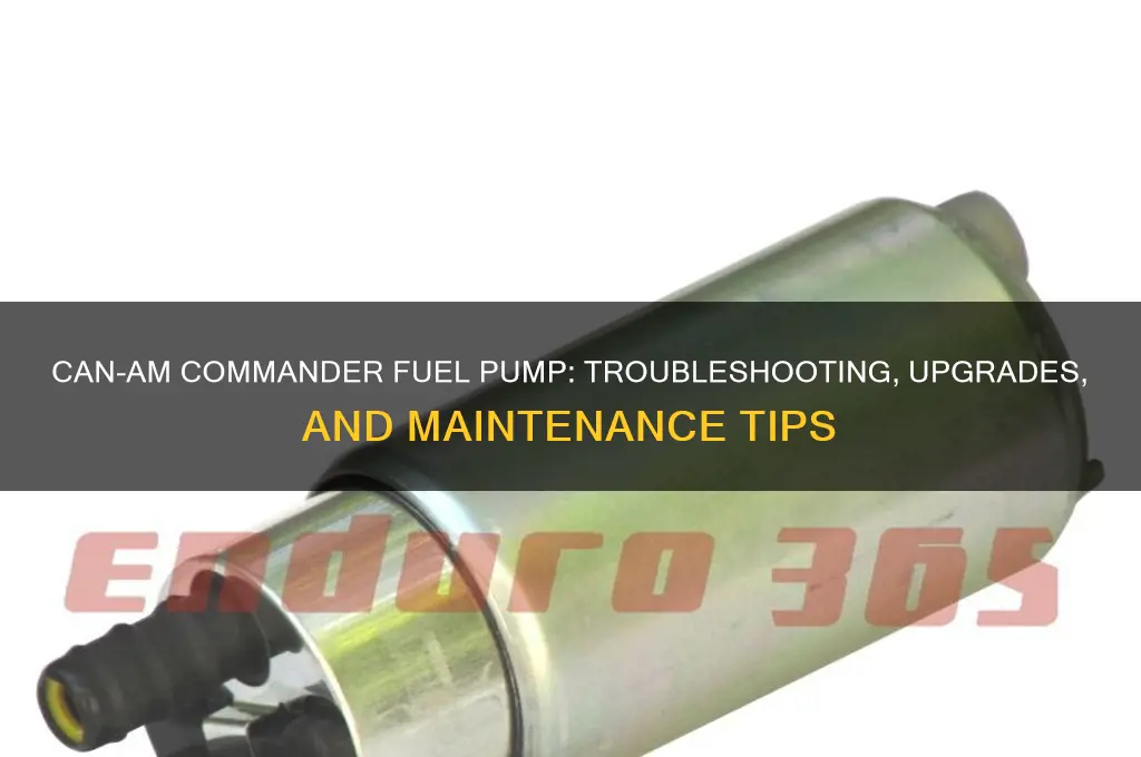 can am commander fuel pump