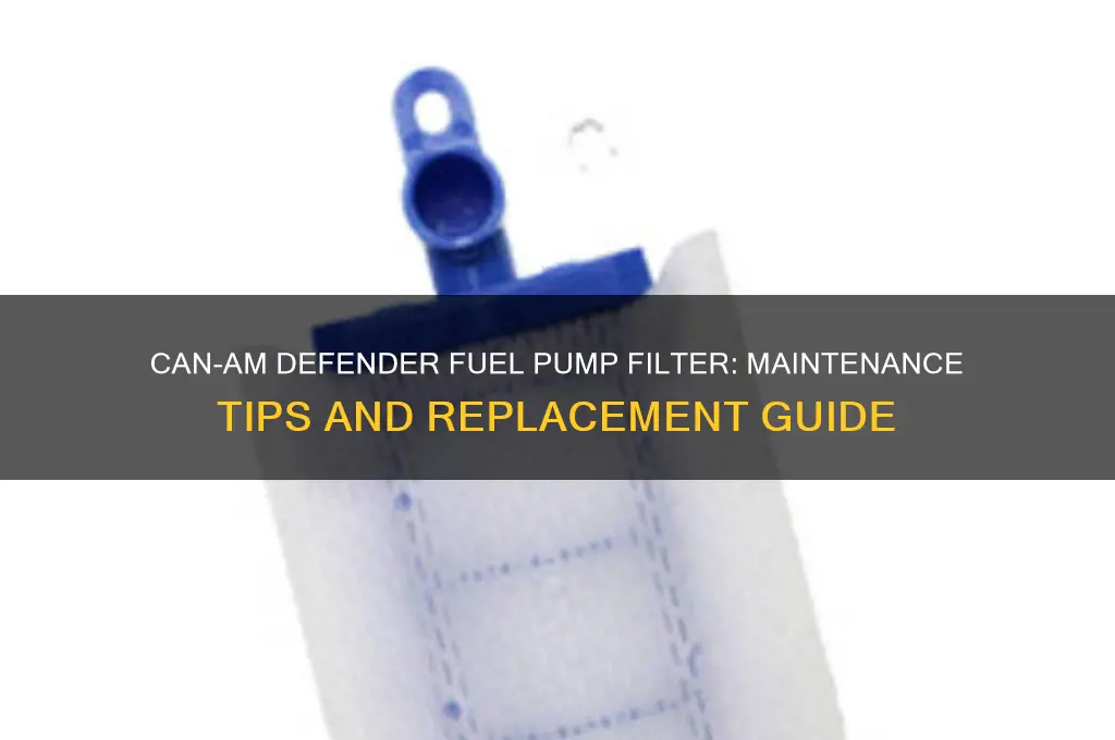 can am defender fuel pump filter