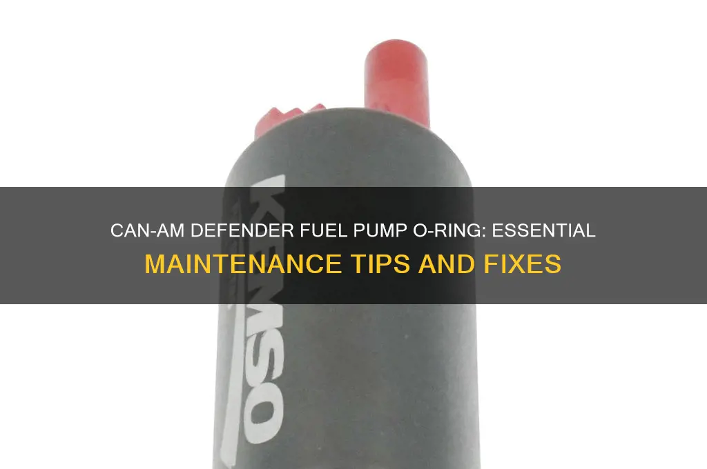 can am defender fuel pump o ring