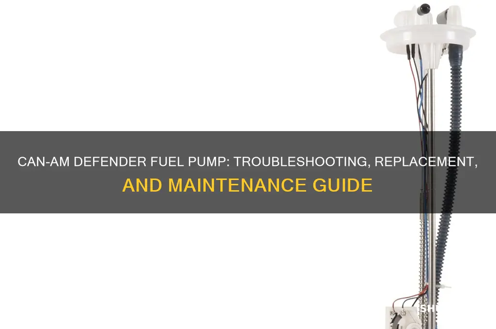 can am defender fuel pump