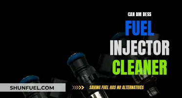 Best Fuel Injector Cleaner: Can-Am Dess