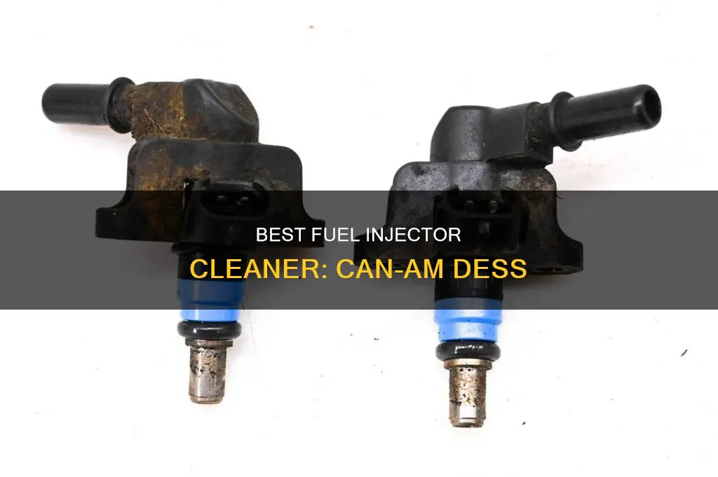 can am dess fuel injector cleaner