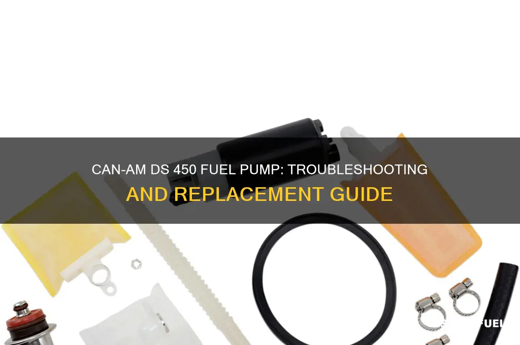 can am ds 450 fuel pump