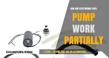 Can-Am Electronic Fuel Pump: Partial Functionality Explained and Solutions