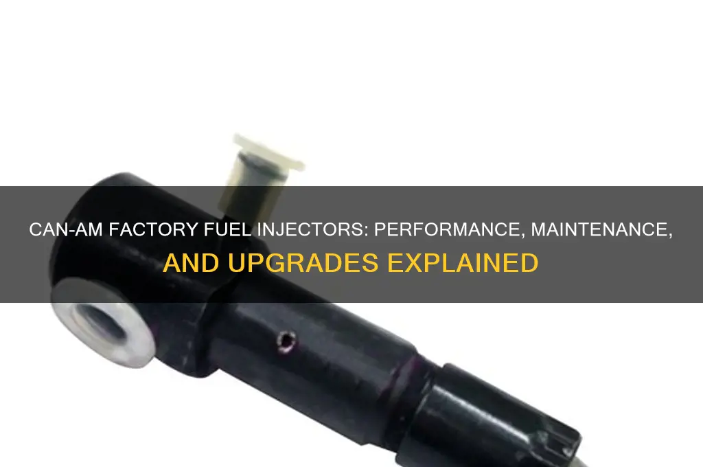 can am factory fuel injectords
