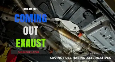 Can-Am Exhaust Fuel Leak: Causes, Risks, and Quick Fixes