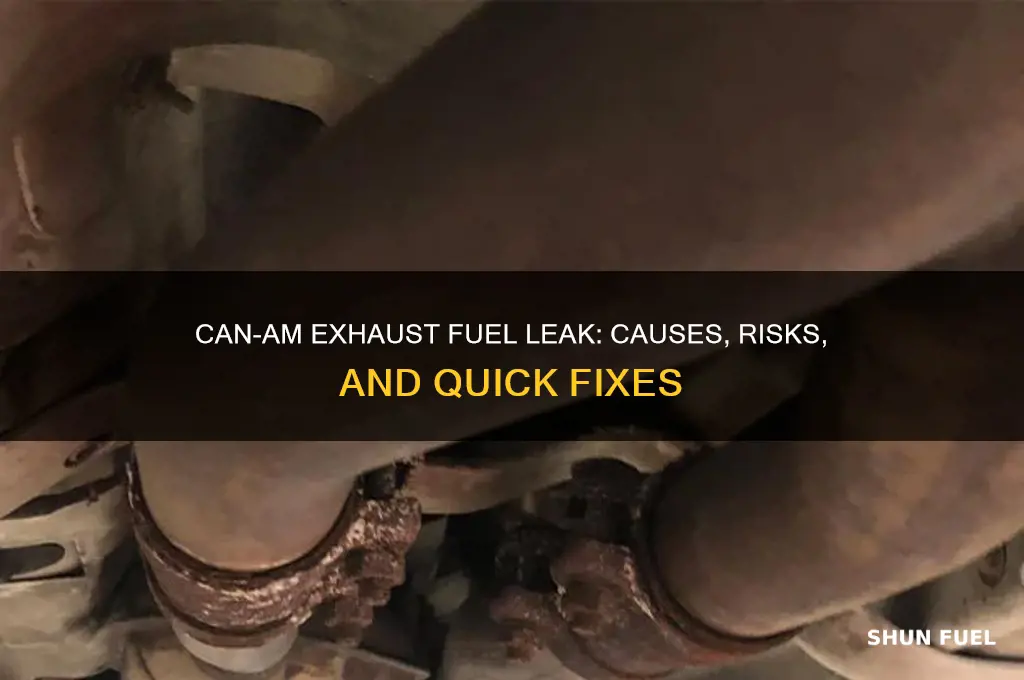 can am fuel coming out exaust