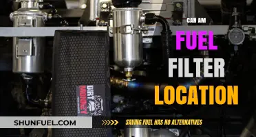 Where's the Fuel Filter? Can-Am Location Guide