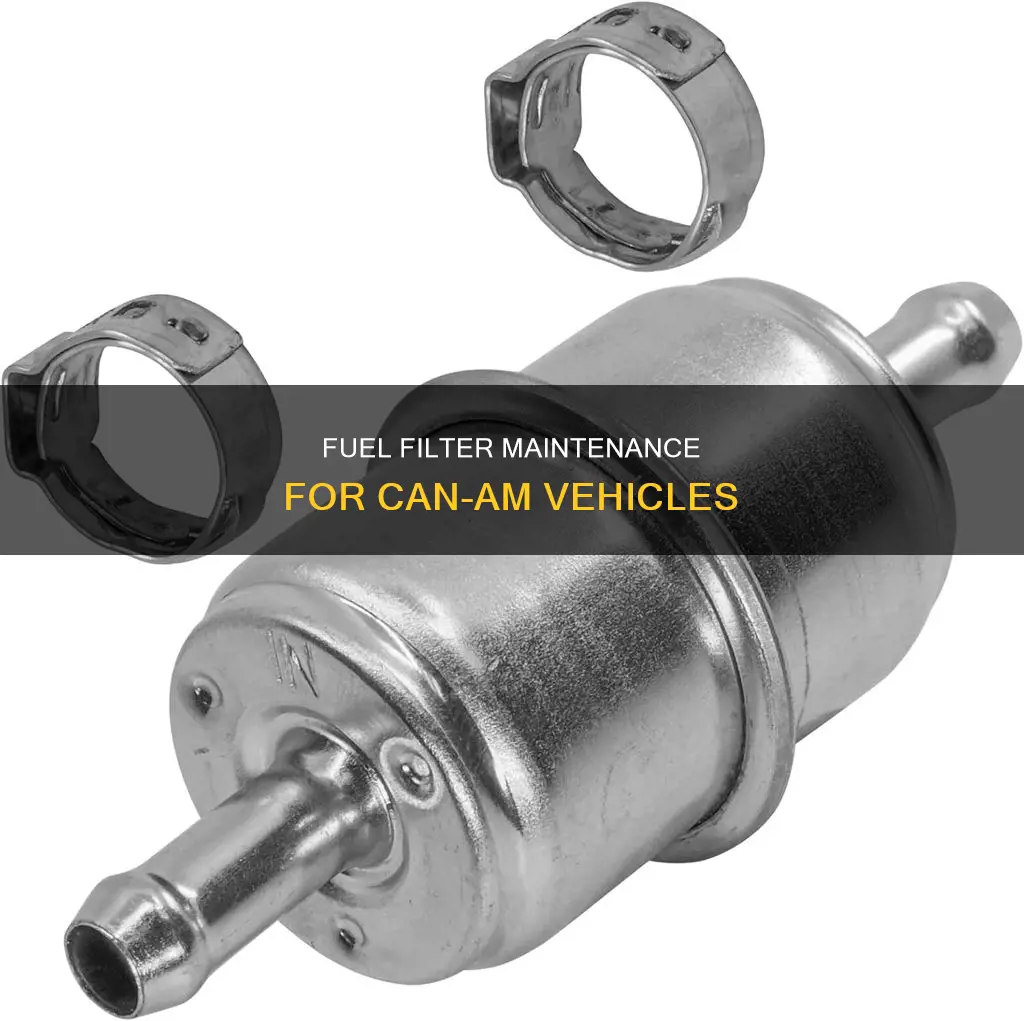 can am fuel filter