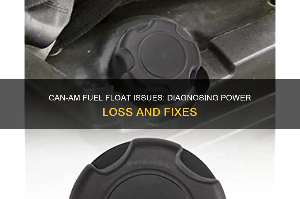 can am fuel float bad no power