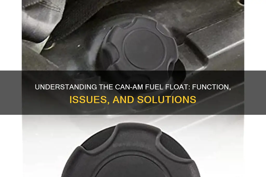 can am fuel float