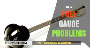 Troubleshooting Can-Am Fuel Gauge Issues: Common Problems and Fixes