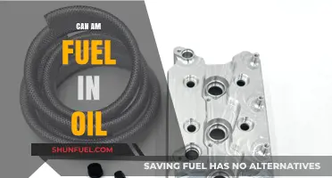 Can-Am Fuel in Oil: Causes, Effects, and Solutions Explained