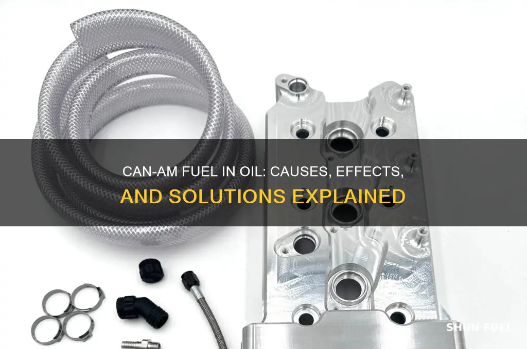 can am fuel in oil