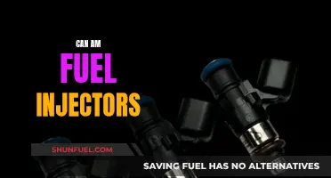 Fuel Injector Functionality: Can-Am Vehicles