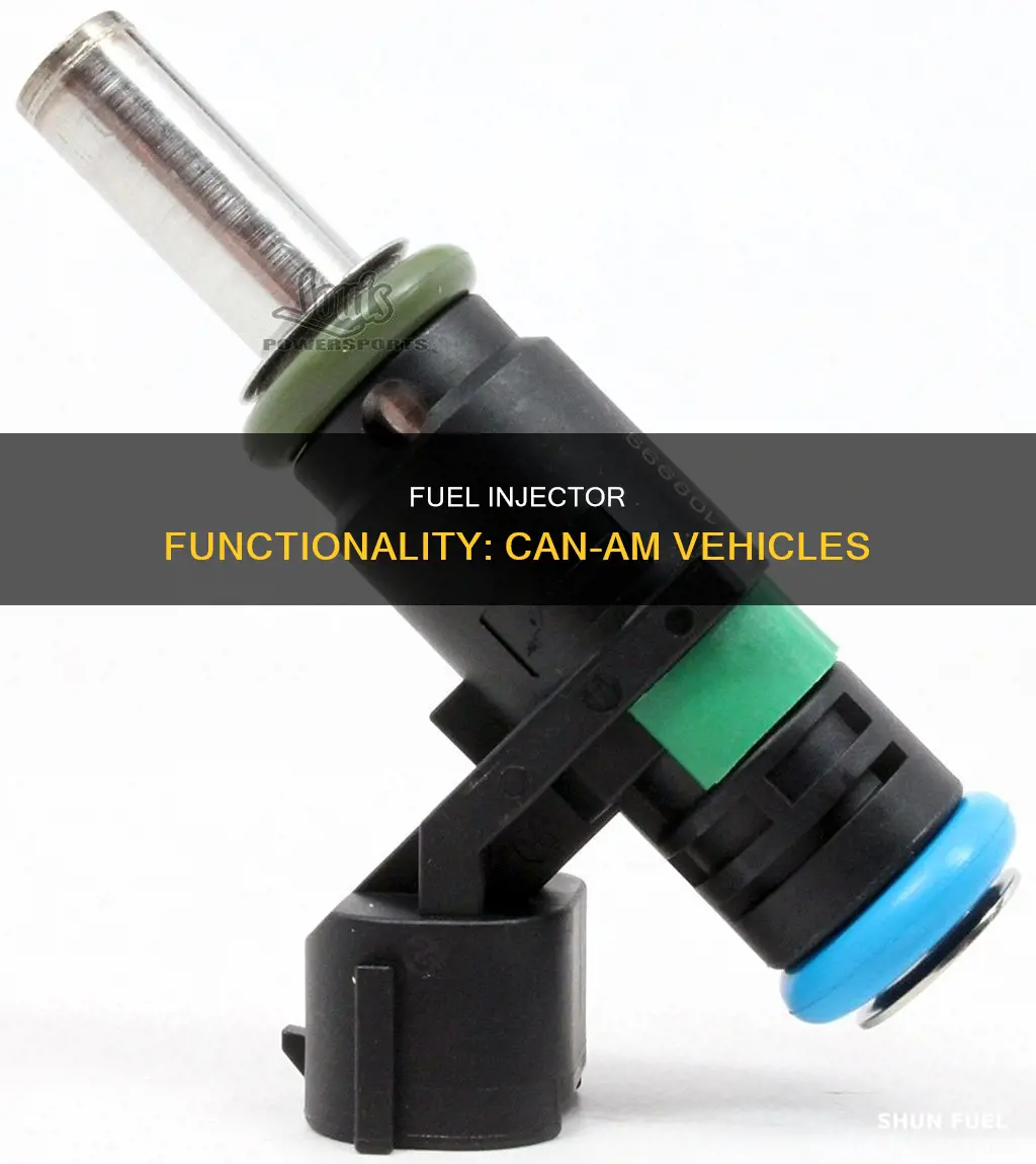 can am fuel injectors