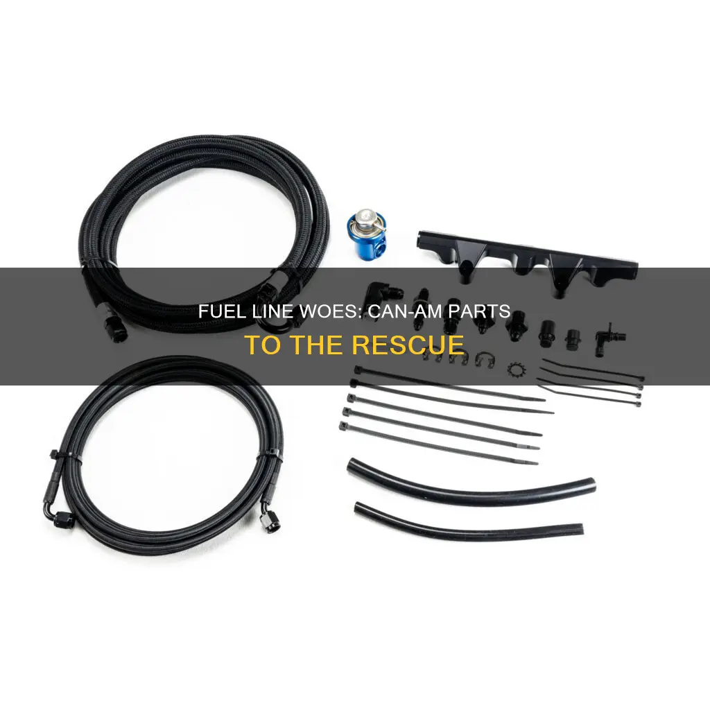 can am fuel line end fauto parts