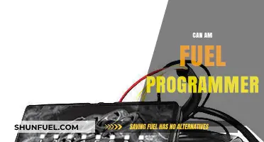 Optimize Your Can-Am's Performance with a Fuel Programmer Upgrade