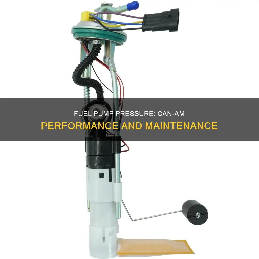 can am fuel pump pressure