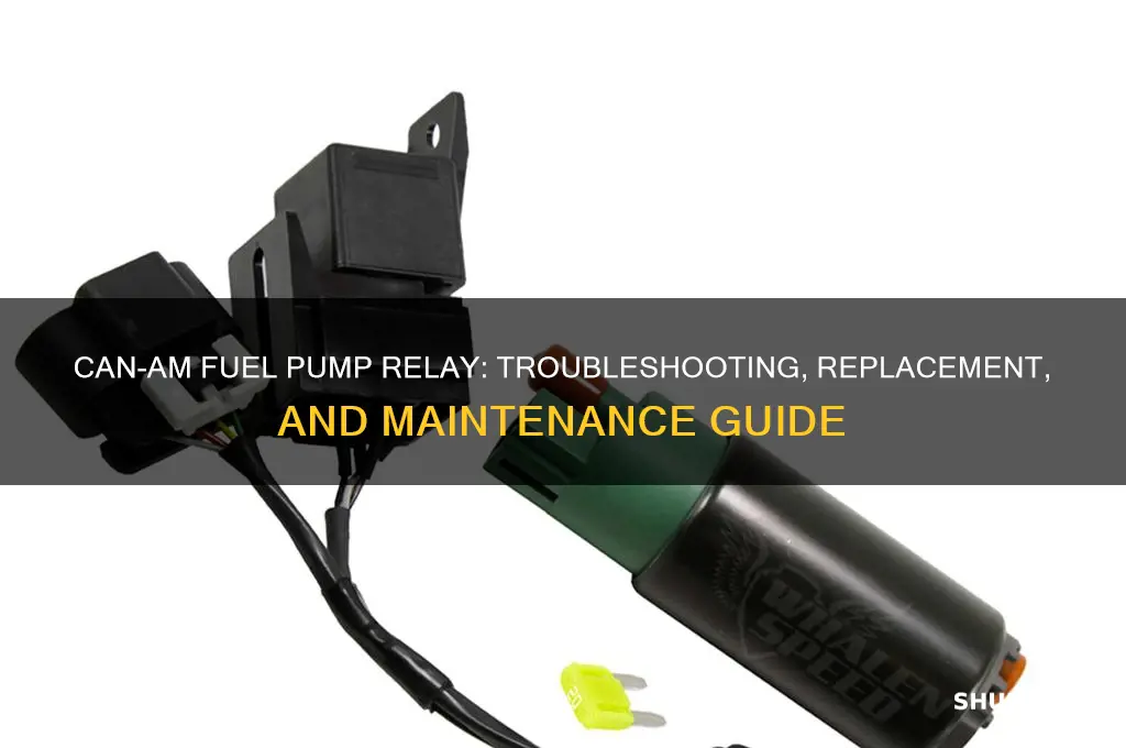 can am fuel pump relay