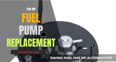 Am Fuel Pump Replacement: DIY or Call a Mechanic?