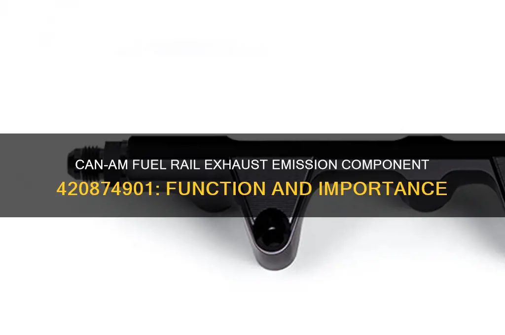 can am fuel rail exhaust emission component part 420874901