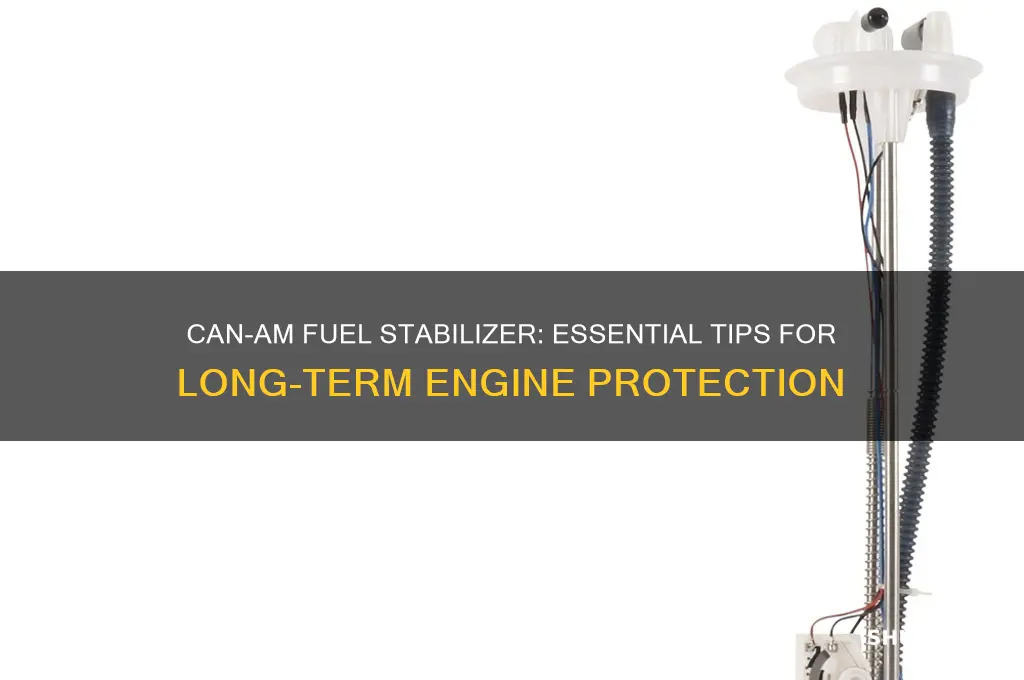 can am fuel stabilizer
