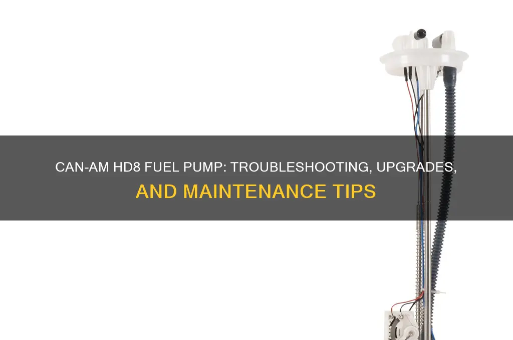 can am hd8 fuel pump