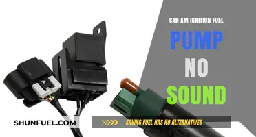 Troubleshooting Can-Am Ignition: Silent Fuel Pump Fixes and Solutions