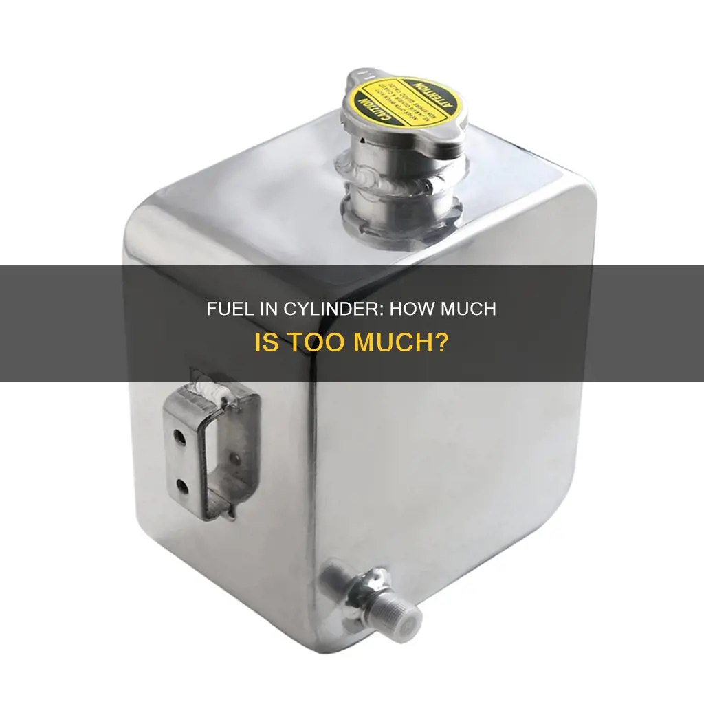 can am putting too much fuel in cylinder