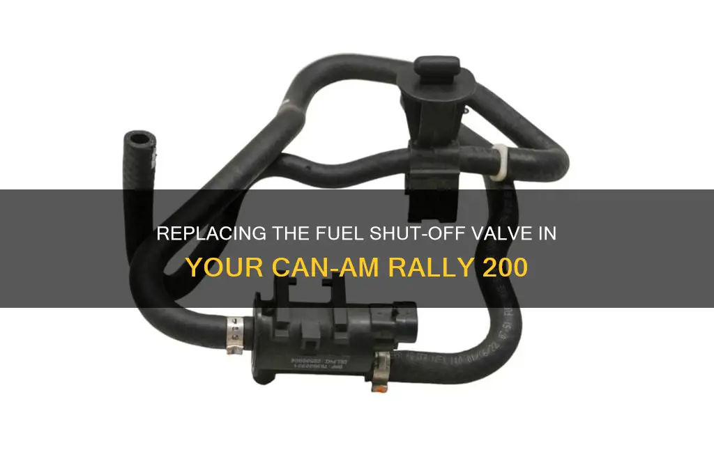 can am rally 200 fuel shut off valve replacement