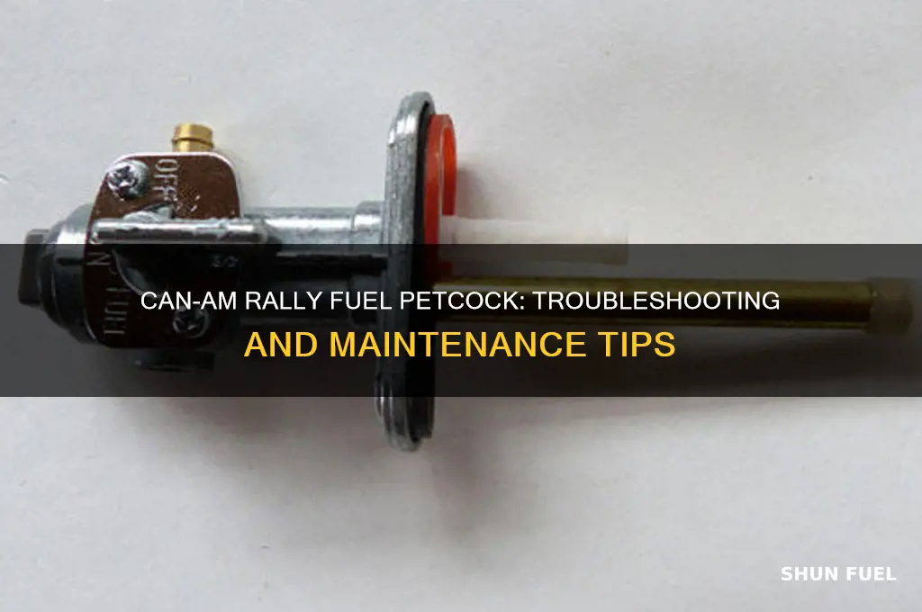 can am rally fuel petcock