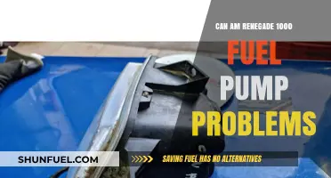 Troubleshooting Can-Am Renegade 1000 Fuel Pump Issues: Causes & Fixes