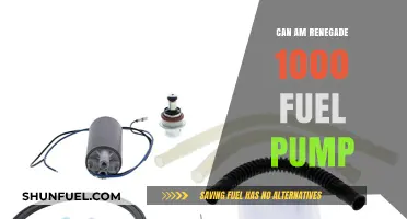 Can-Am Renegade 1000 Fuel Pump: Troubleshooting and Replacement Guide