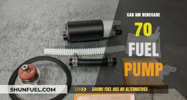 Can-Am Renegade 70 Fuel Pump: Troubleshooting and Maintenance Guide