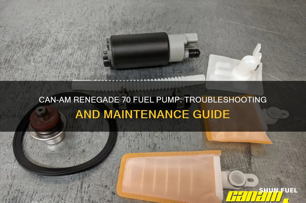 can am renegade 70 fuel pump