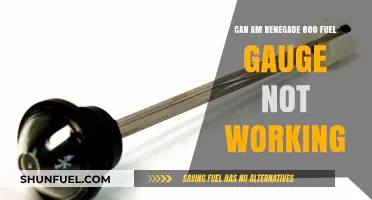 Troubleshooting the Can-Am Renegade 800 Fuel Gauge Malfunction