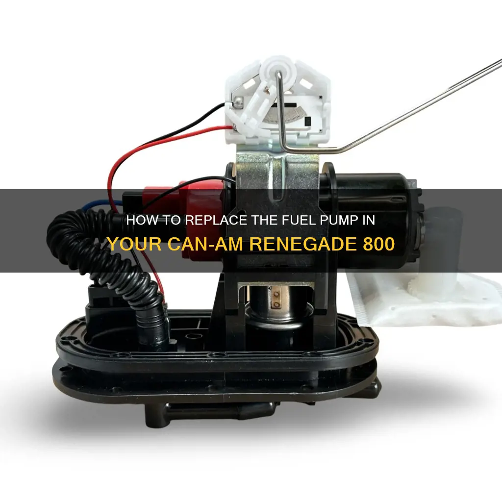 can am renegade 800 fuel pump replacement