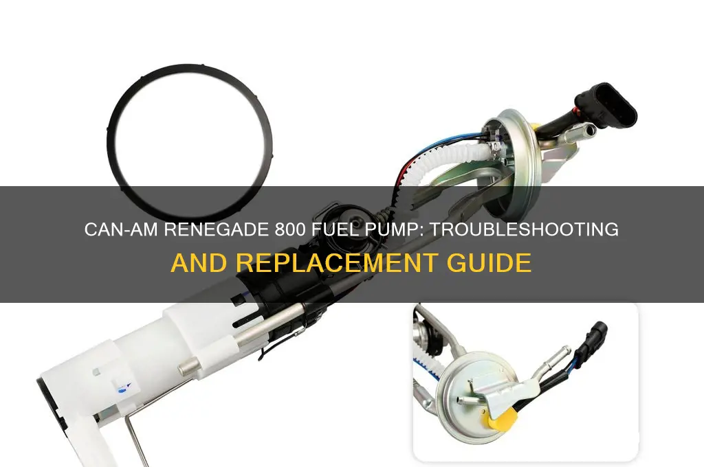 can am renegade 800 fuel pump