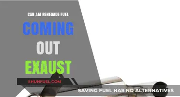 Can-Am Renegade Exhaust Fuel Leak: Causes, Fixes, and Prevention Tips